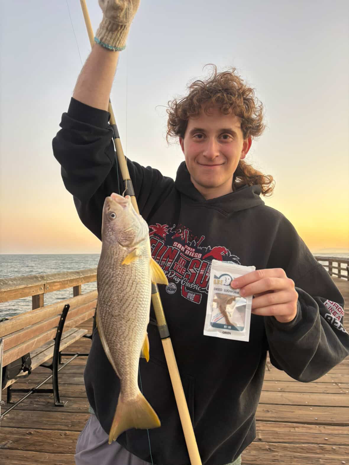 Dried Lugworm : #1 Bait for Surf & Pier