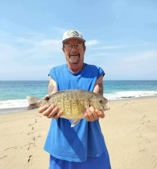 Dried Lugworm : #1 Bait for Surf & Pier