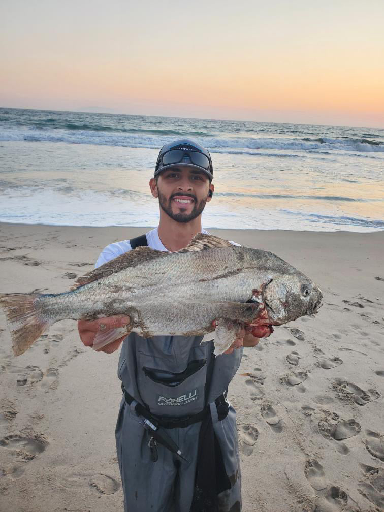 Dried Lugworm : #1 Bait for Surf & Pier