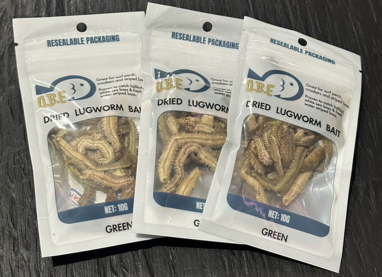 Top 6 Species You Can Catch with Dried Lugworms & The Best Setups for ...