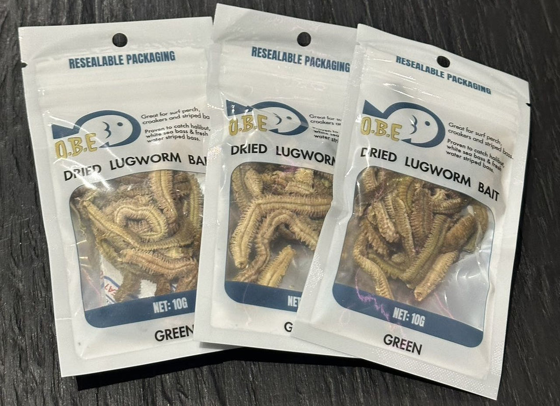 Top 6 Species You Can Catch with Dried Lugworms & The Best Setups for Success