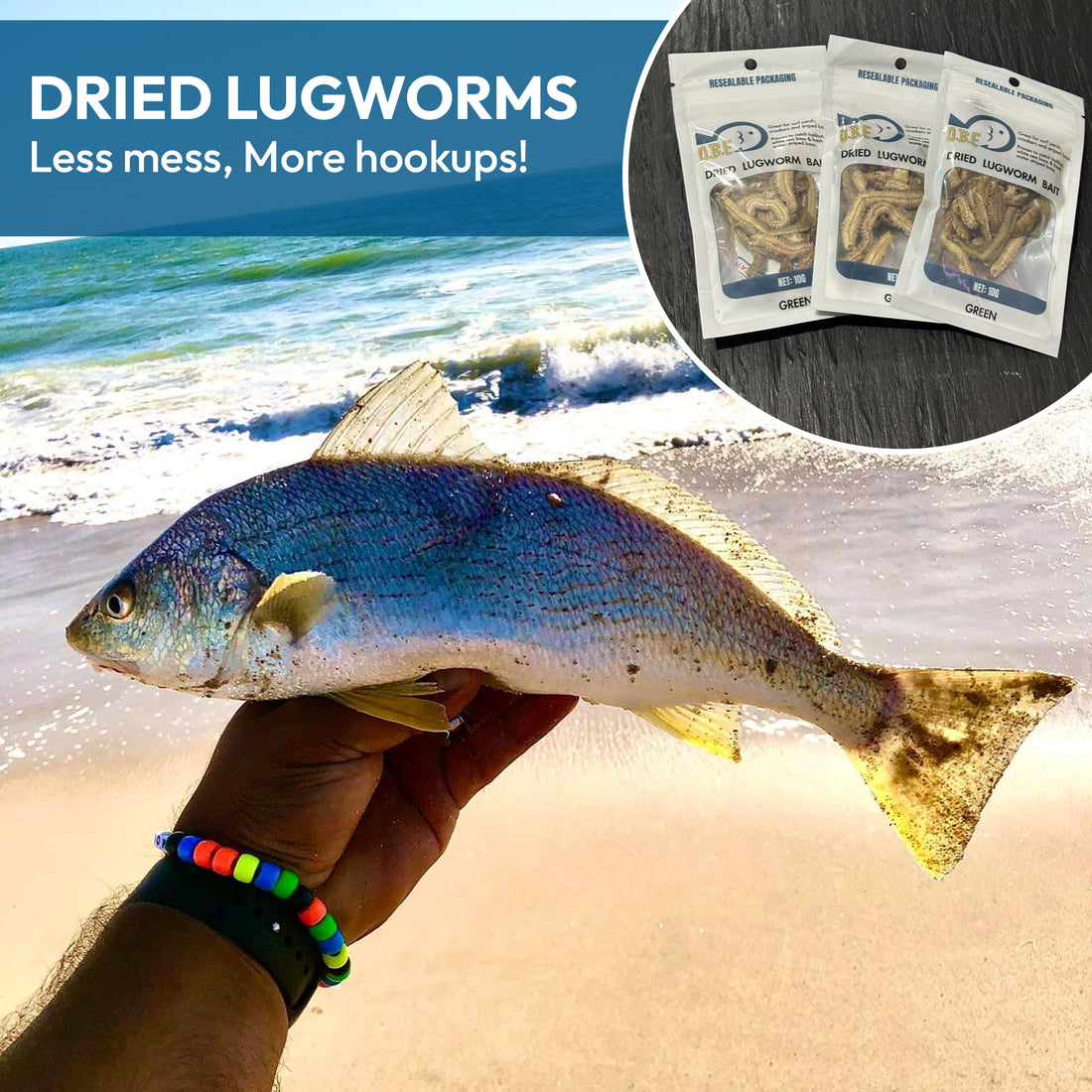 Why Dried Lugworms are the Ultimate Bait for Surf Fishing โ Online Bait ...