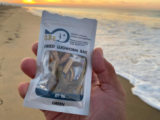 5 Pro Tips to Use Dried Lugworms for Maximum Success in the Surf