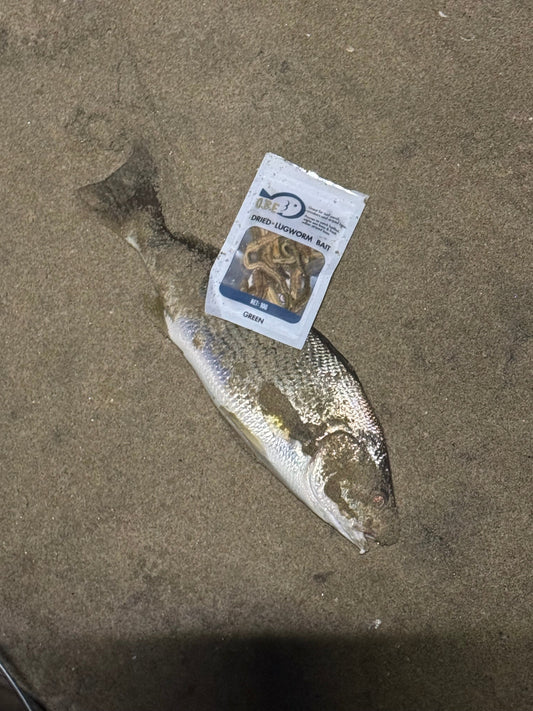 10 Surf Fishing Tips Every Beginner Needs to Know