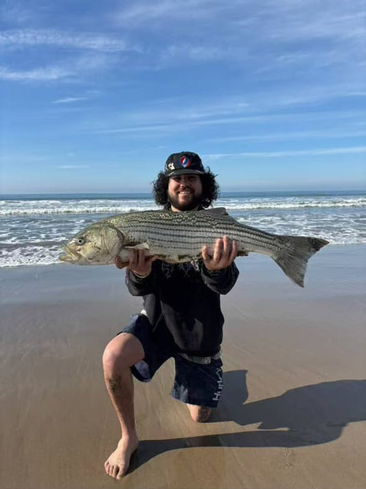 Best Surf Fishing Bait in 2025 (Tested & Proven)