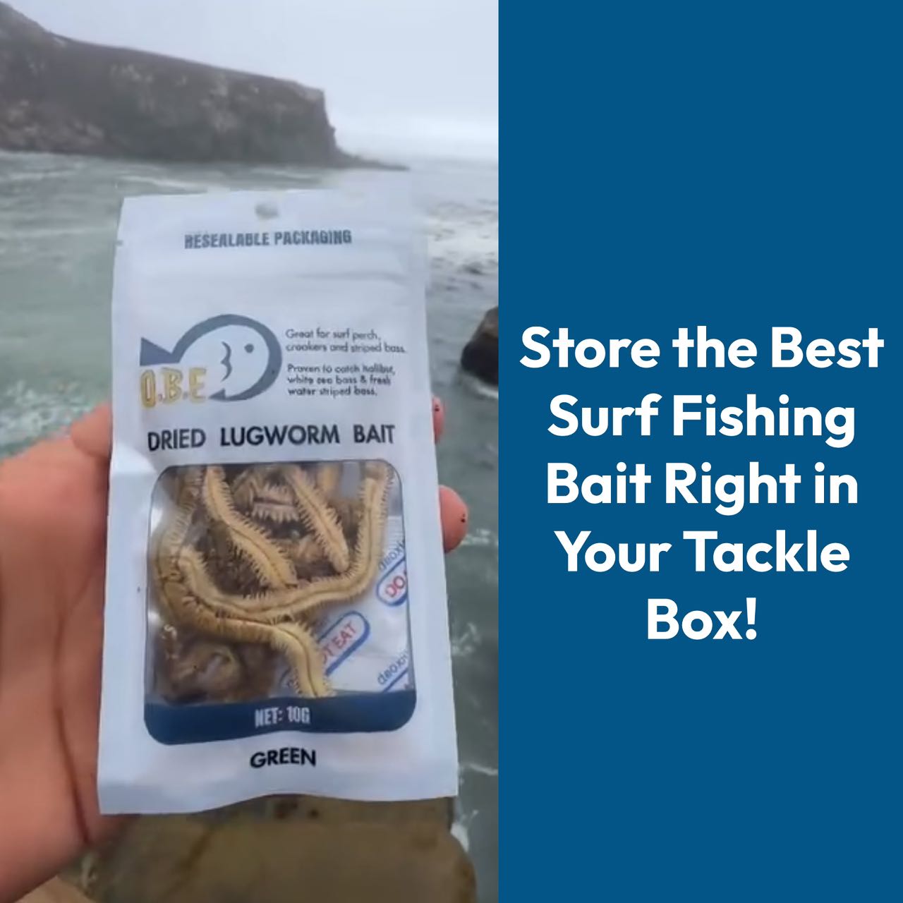 5 Must-Have Baits for Surf Fishing, and Why Dried Lugworms Are #1 ...