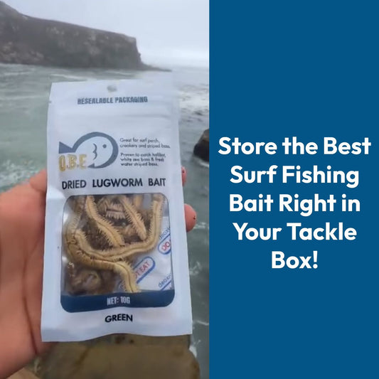 5 Must-Have Baits for Surf Fishing, and Why Dried Lugworms Are #1