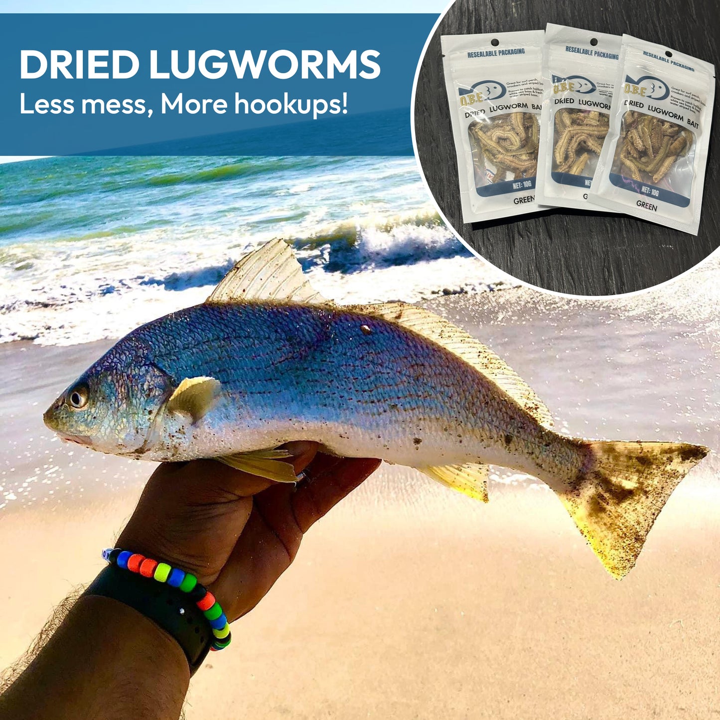 Dried Lugworm