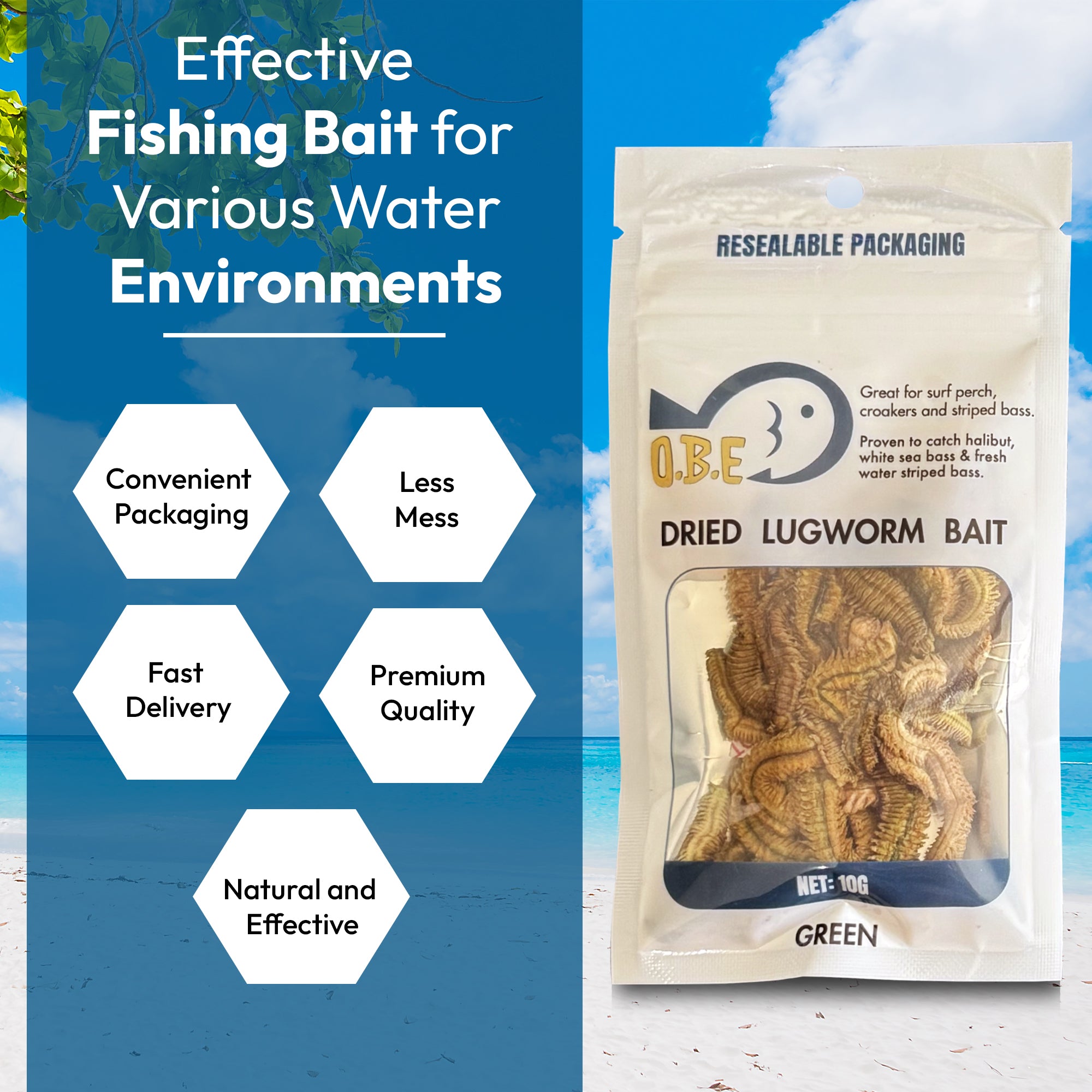 Catch More Fish with Dried Lugworms โ Long Shelf Life & Mess-Free Bait ...