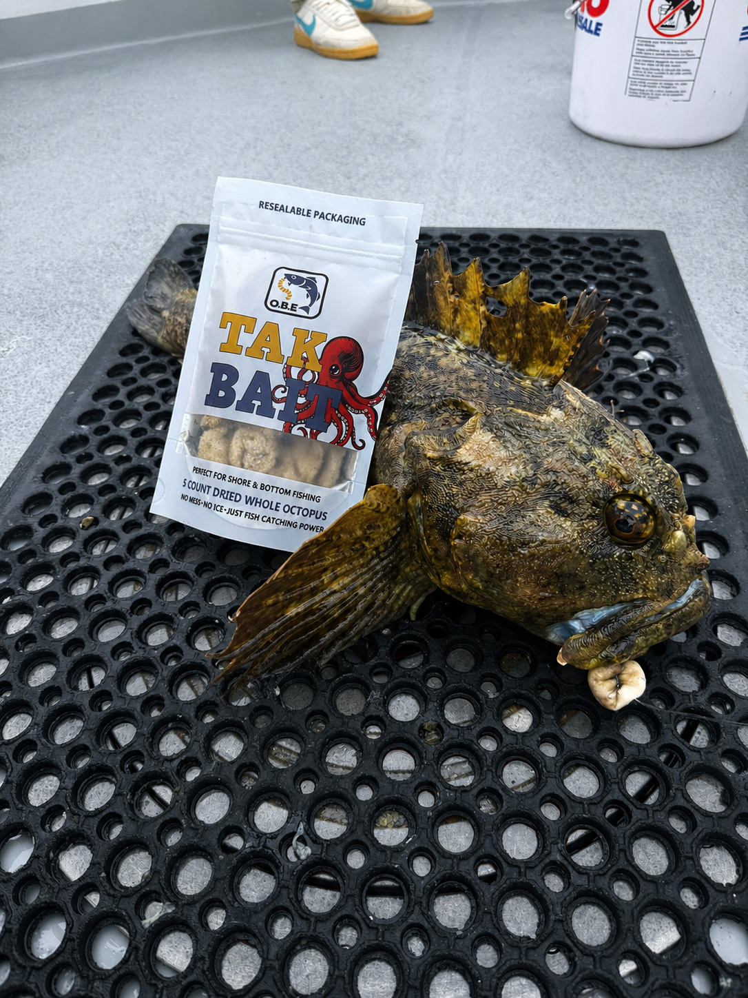 O.B.E Premium Dried Octopus (Tako Bait)