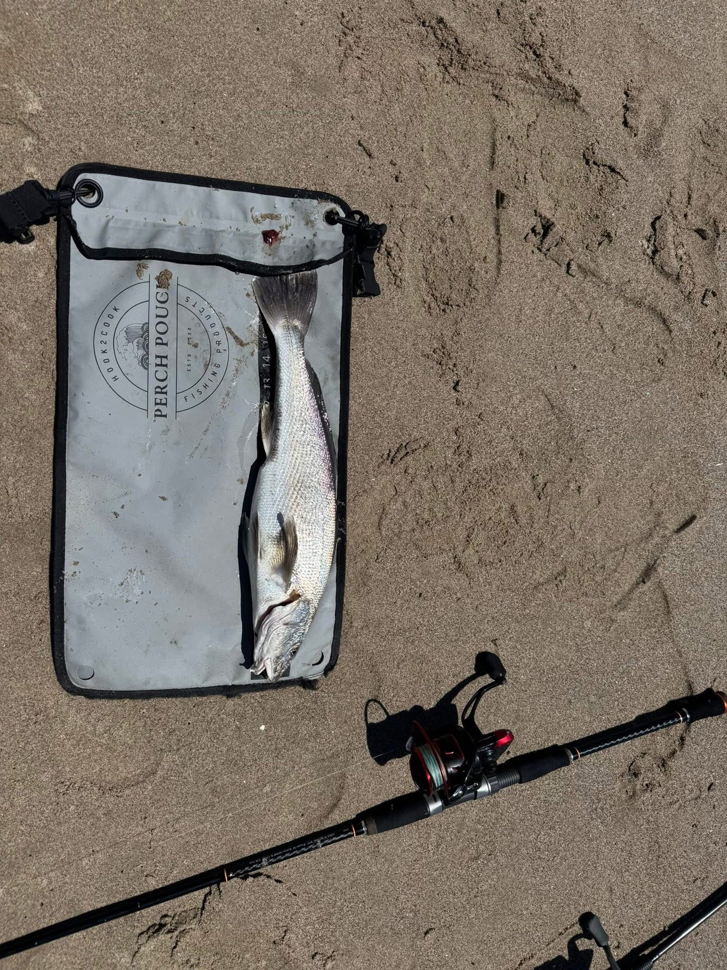 Dried Lugworm : #1 Bait for Surf & Pier