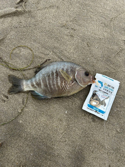 Dried Lugworm : #1 Bait for Surf & Pier