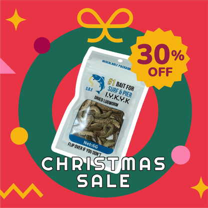 Dried Lugworm : #1 Bait for Surf & Pier