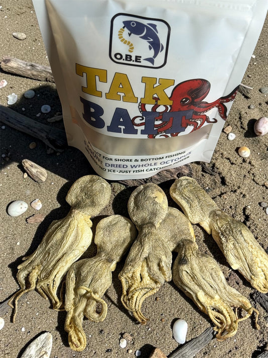 Dried Octopus